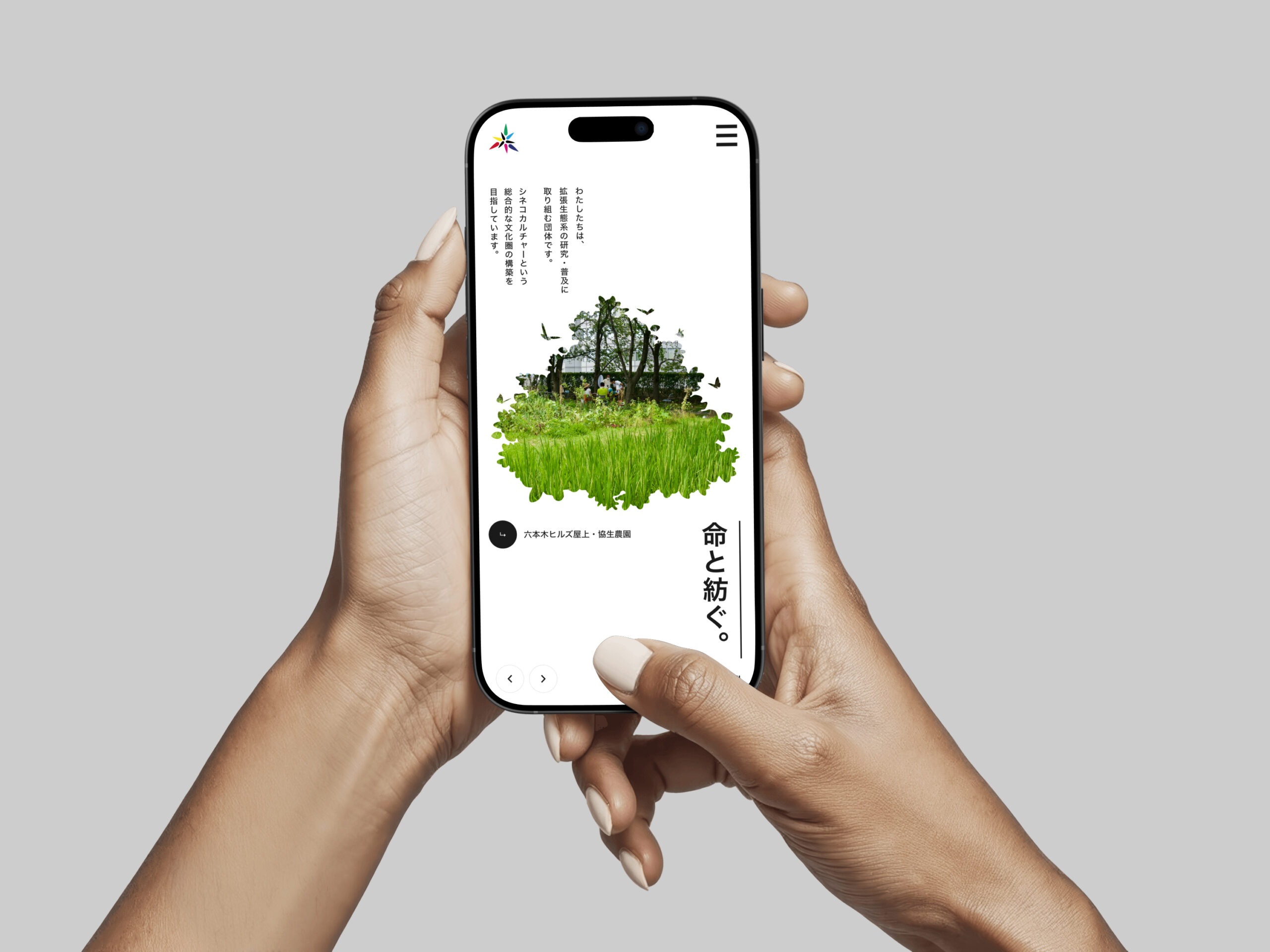 スマートフォンでシネコカルチャーのサイトを見ている手元