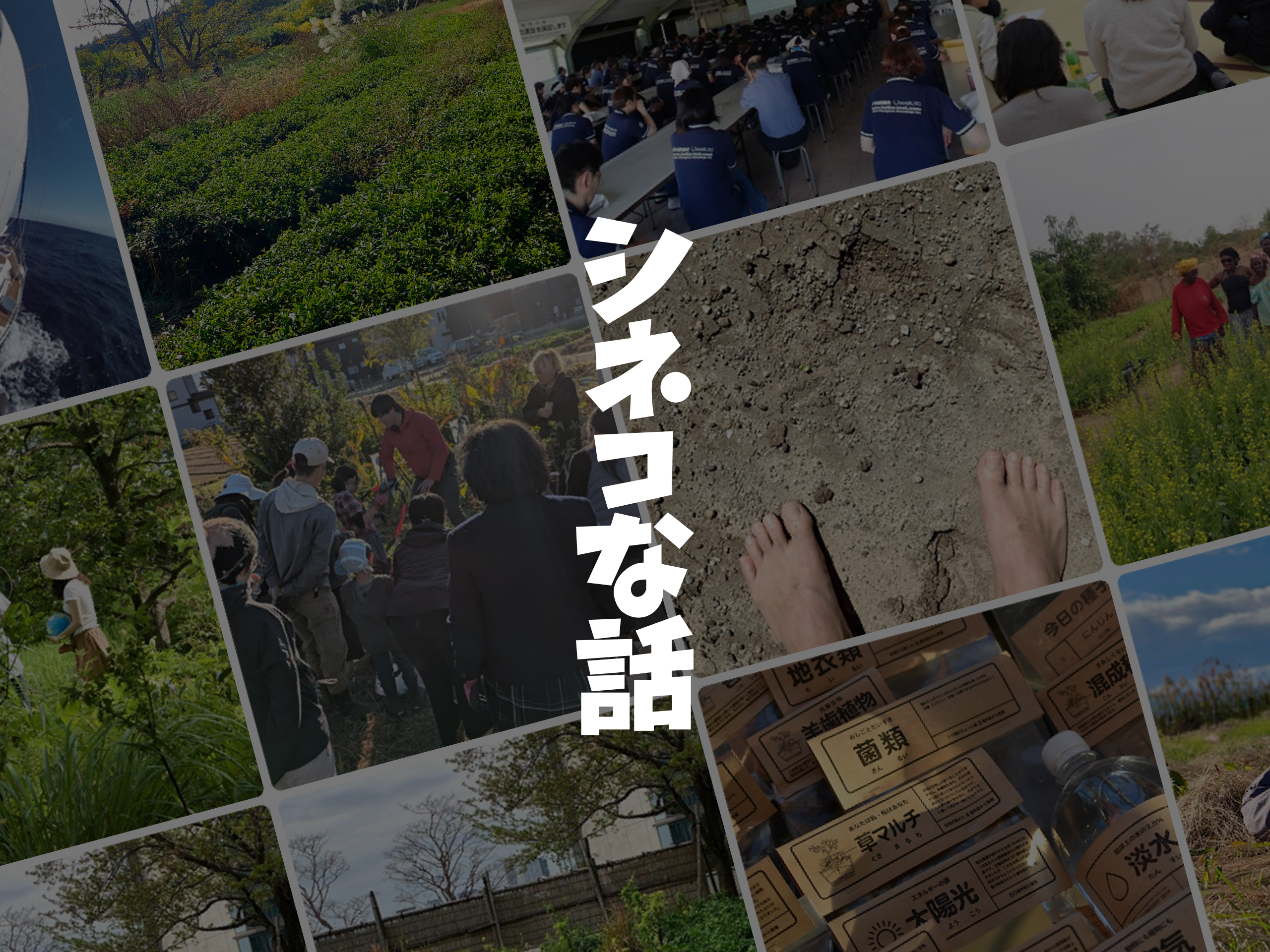 活動の写真を並べた上に重ねた「シネコな話」のロゴ